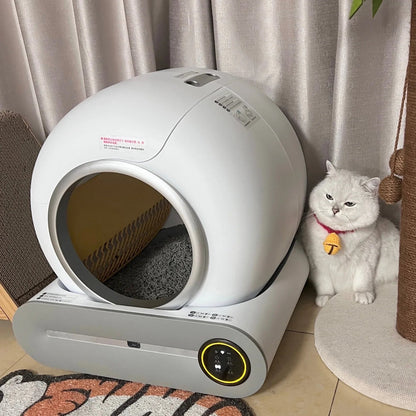 Automatic Litter Box