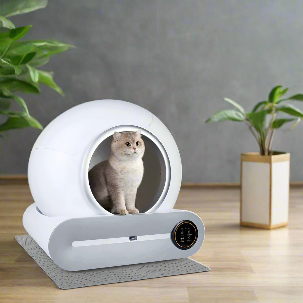 Automatic Litter Box