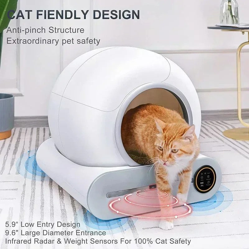 Automatic Litter Box