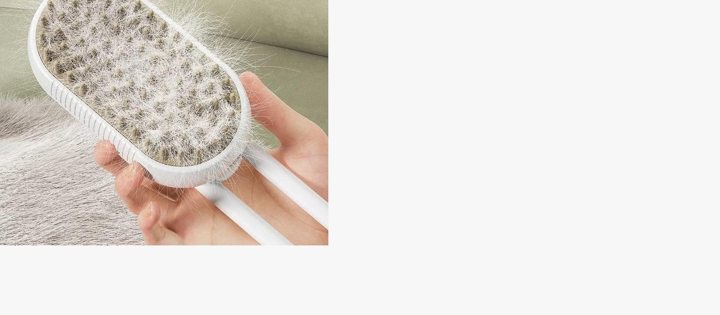 3 in 1 Steam Brush