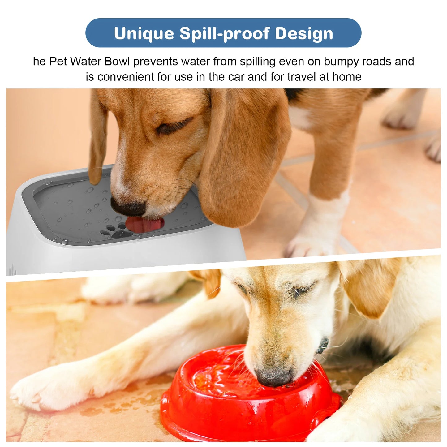 Splash-Proof Water Bowl